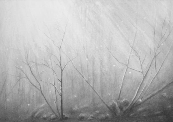 foggy forest with dead small trees and branches where sunlight floats with sparkling lights looking like snow